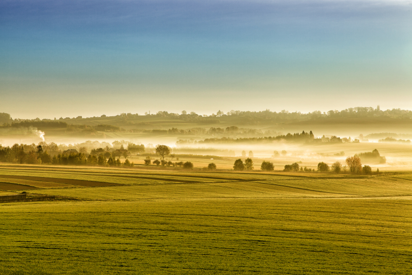 Krajobraz wiejski we mgle