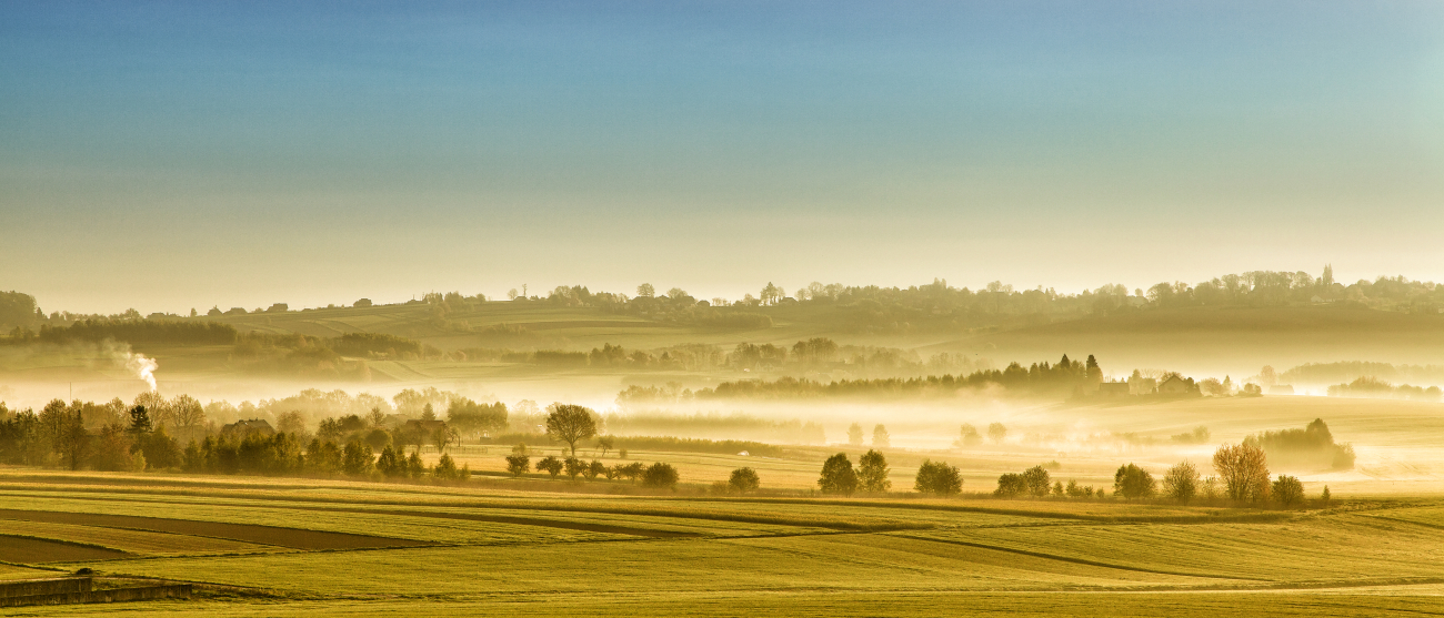 Krajobraz wiejski we mgle
